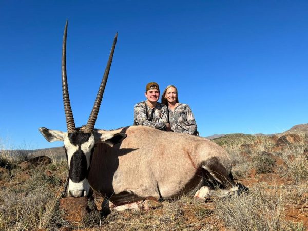 Gemsbuck Common (Oryx)