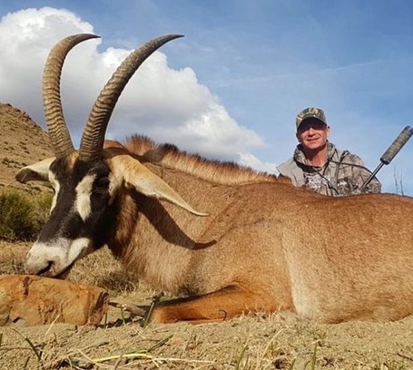 Roan Antelope