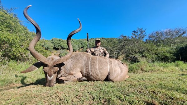 Kudu Bull (Between 46" & 50")